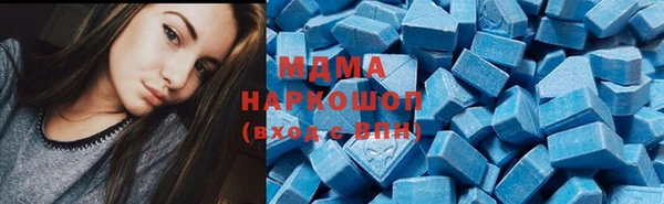 прущие грибы Дмитров