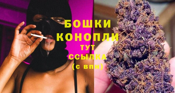 сатива Дмитриев