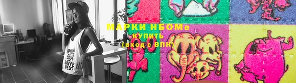 прущие грибы Дмитров
