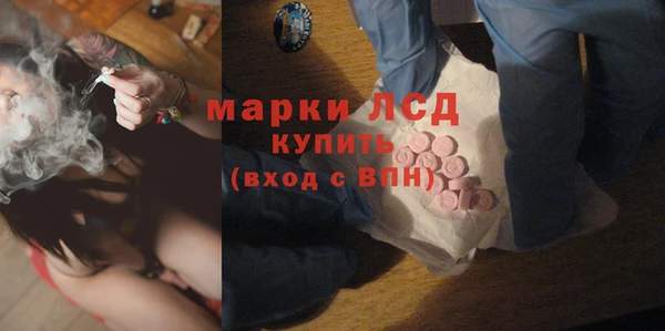 сатива Дмитриев