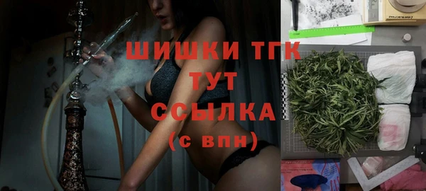 сатива Дмитриев