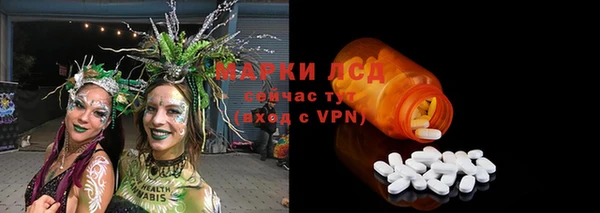 сатива Дмитриев
