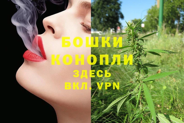 сатива Дмитриев