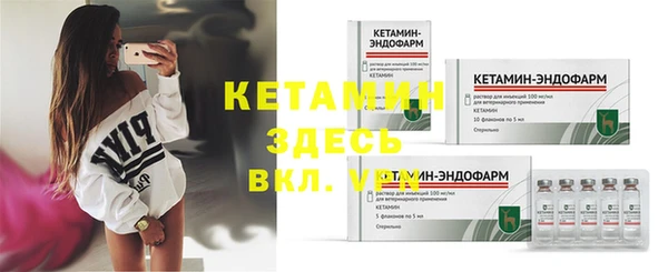 прущие грибы Дмитров