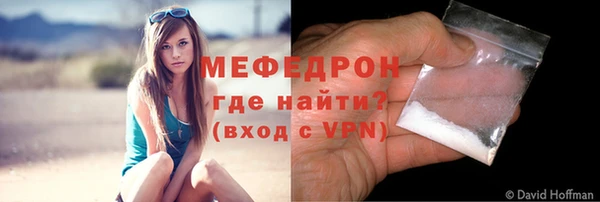прущие грибы Дмитров