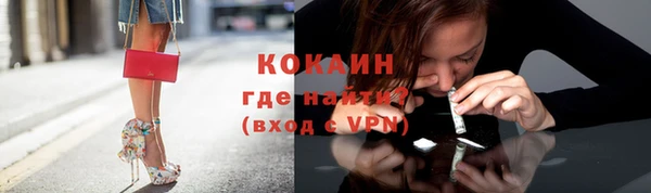 сатива Дмитриев