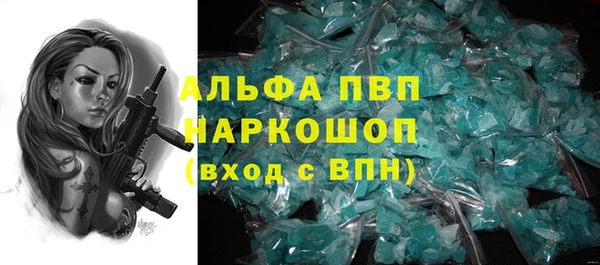 прущие грибы Дмитров