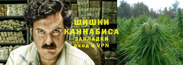 прущие грибы Дмитров