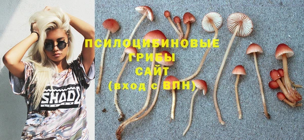 сатива Дмитриев