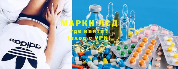 прущие грибы Дмитров