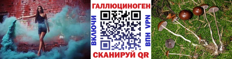 где купить наркоту  Сурск  Галлюциногенные грибы Magic Shrooms 
