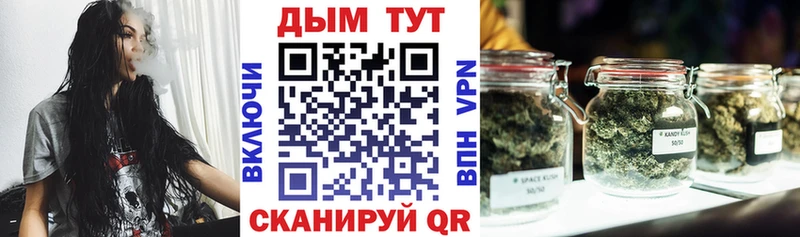 Шишки марихуана марихуана  где купить наркоту  Сурск 